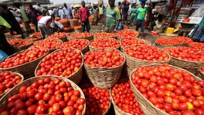 Burkina Faso bans fresh tomato exports to protect local processing industry