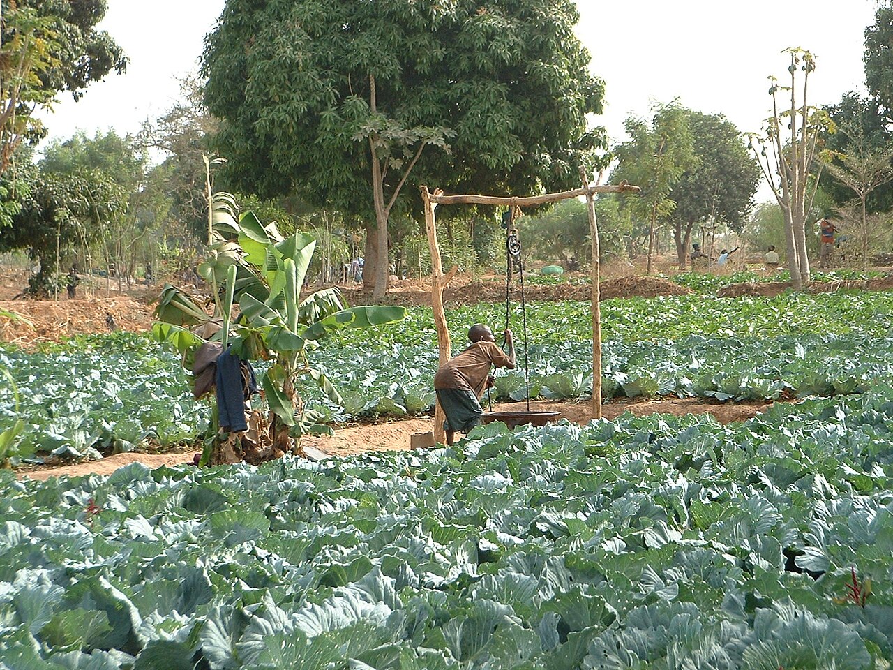 Burkina Faso Plans US$435 Million Irrigation Push